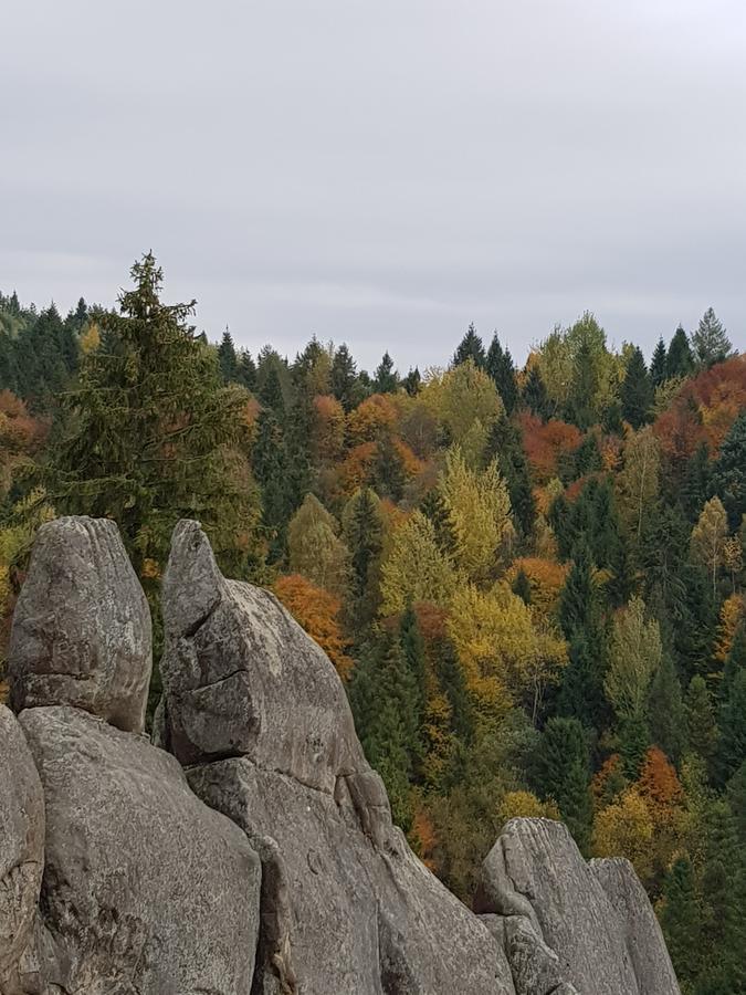 فندق Dayarta Skhidnytsia المظهر الخارجي الصورة